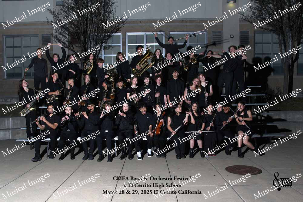 Musical Images